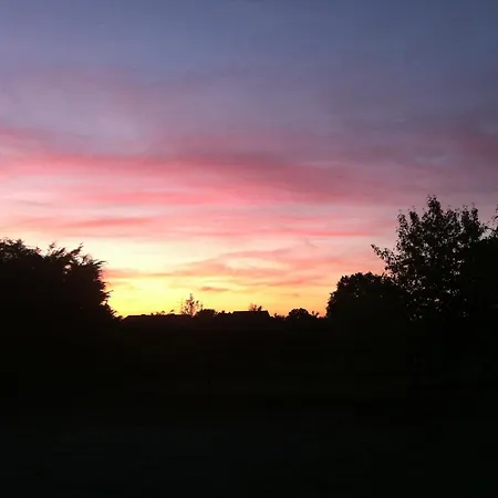 Hotel-landhaus Birkenmoor